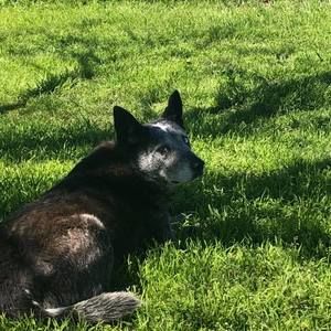 Meet your Posher, Ellen